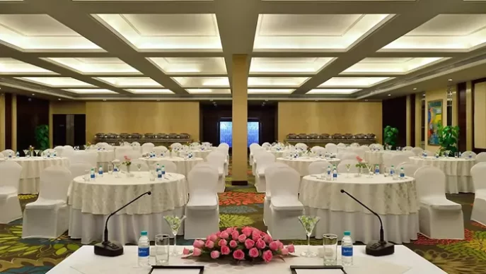 radisson-blu-3